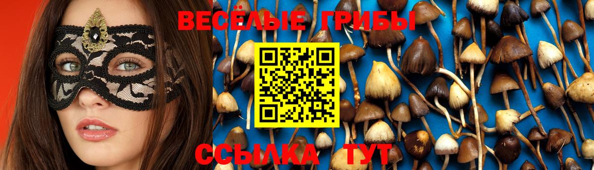Псилоцибиновые грибы прущие грибы Аксай